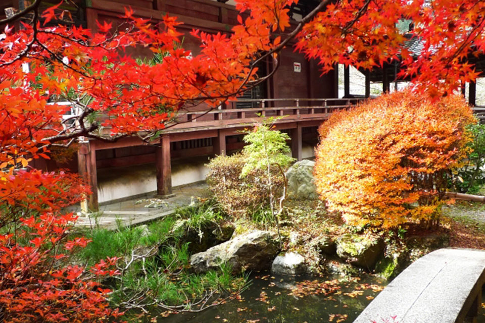 秋の京都観光、山科界隈もお忘れなく。毘沙門堂は、嵐山や東山にも劣らない紅葉名勝です。