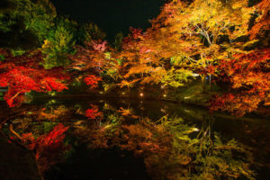 高台寺の紅葉