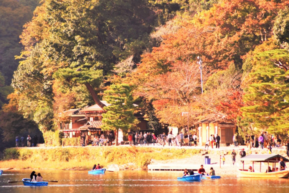 亀岡から嵐山に流れ込む保津川 保津川下りの舞台でもあり 紅葉が映える急流を遊船で楽しんでみましょう Caedekyoto カエデ京都 紅葉 と伝統美を引き継ぐバッグ