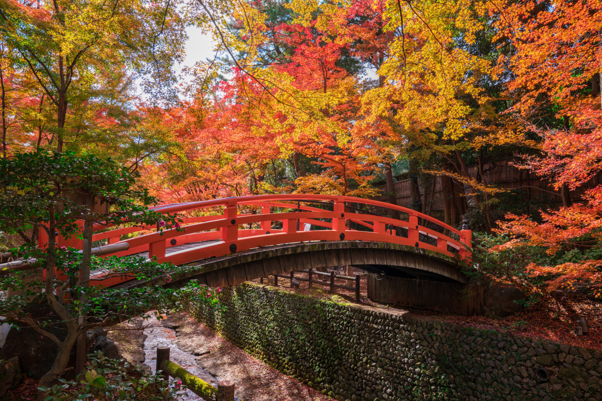 京都の紅葉を見るなら鹿苑寺（金閣寺）。京都の名所だからこそ、やはり 