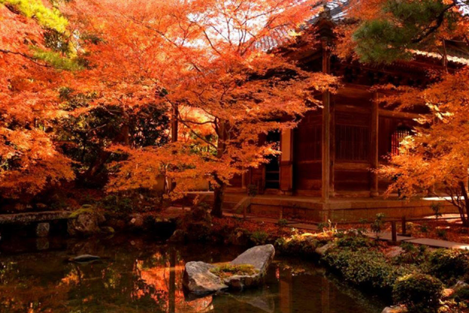 今話題のインスタ映え 京都の紅葉名所ではどんな場所で撮れば 綺麗な写真が撮れるの Caedekyoto カエデ京都 紅葉と伝統美を引き継ぐバッグ