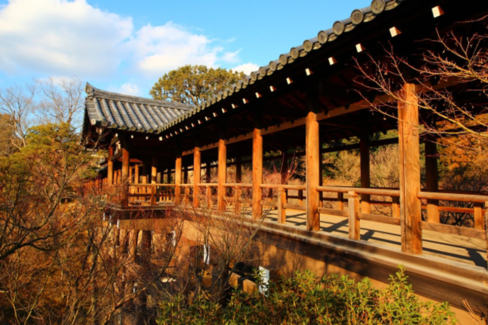 渡り廊下からの眺めが美し過ぎる 京都屈指の紅葉の名所 東福寺 の紅葉 Caedekyoto カエデ京都 紅葉と伝統美を引き継ぐバッグ