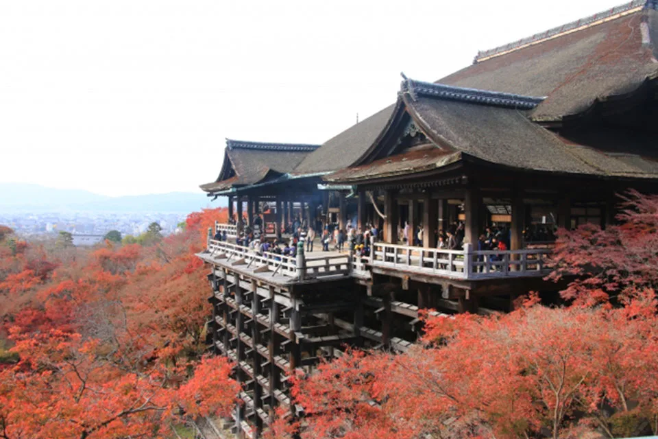 京都の世界遺産と美しい紅葉との調和を堪能 おすすめの観光スポットと見どころをご紹介 Caedekyoto カエデ京都 紅葉と伝統美を引き継ぐバッグ