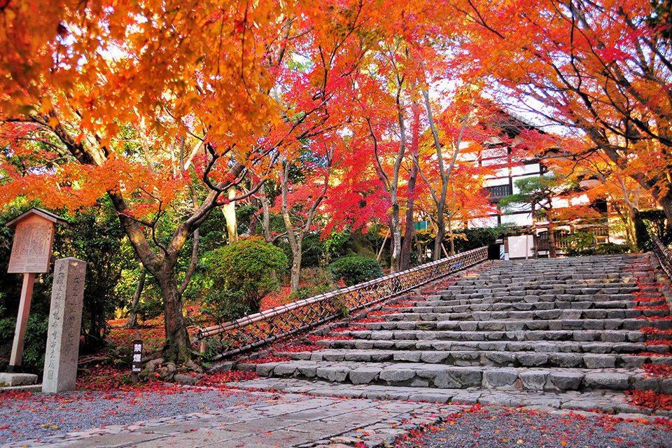 京都の紅葉を見るなら鹿苑寺（金閣寺）。京都の名所だからこそ、やはり 