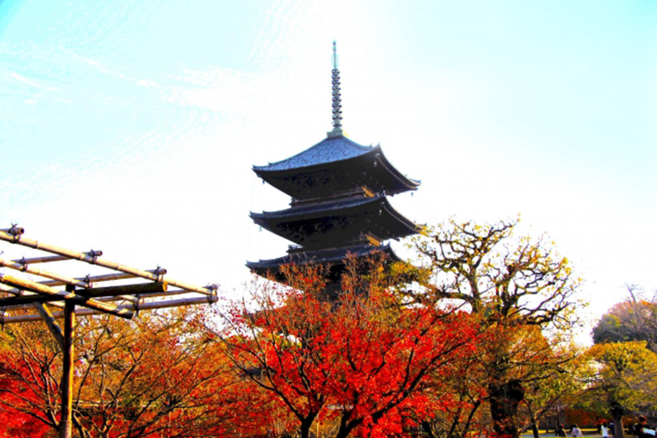 京都らしい風景と言ったら五重塔！秋の京都ならではのフォトジェニックな写真を撮れる紅葉の名所をご紹介！！