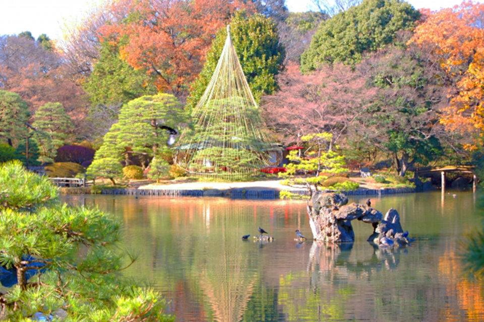 多くの木々が植わっている場所では紅葉が存分に楽しめます。祇園の円山公園はそうした場所の代表格。