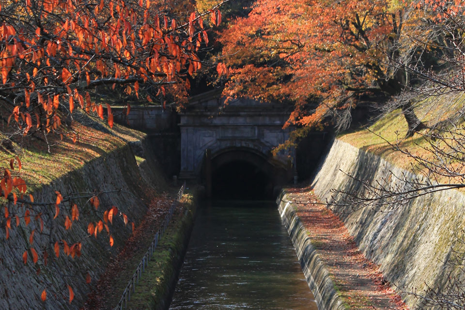 疏水と紅葉の見事な調和は京都ならでは。疏水と紅葉を一緒に楽しむことができる名所をご紹介！