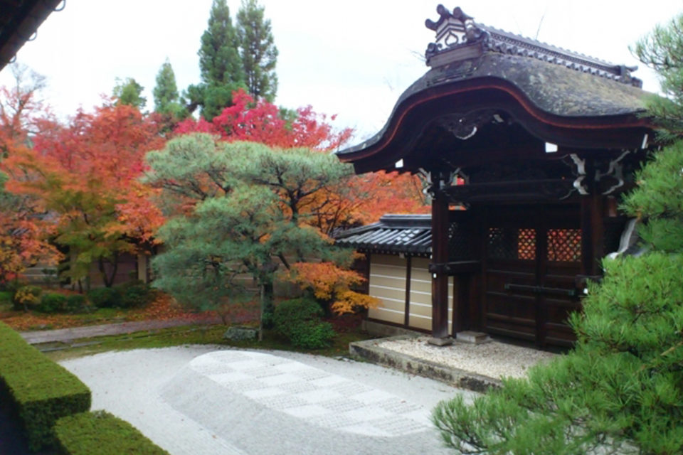 京都永観堂が誇る魅力とは Caedekyoto カエデ京都 紅葉と伝統美を引き継ぐバッグ