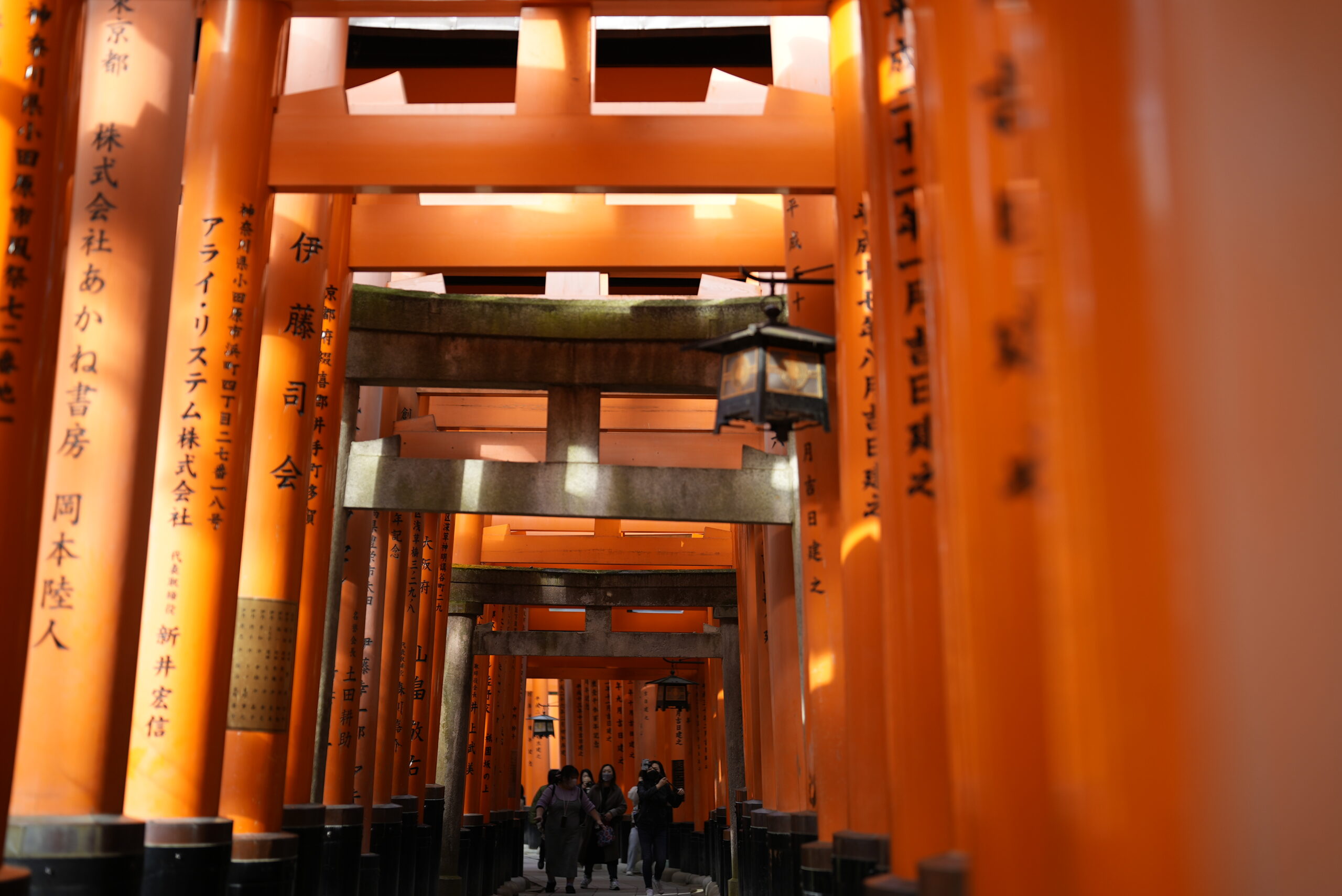 京都　伏見稲荷大社の千本鳥居