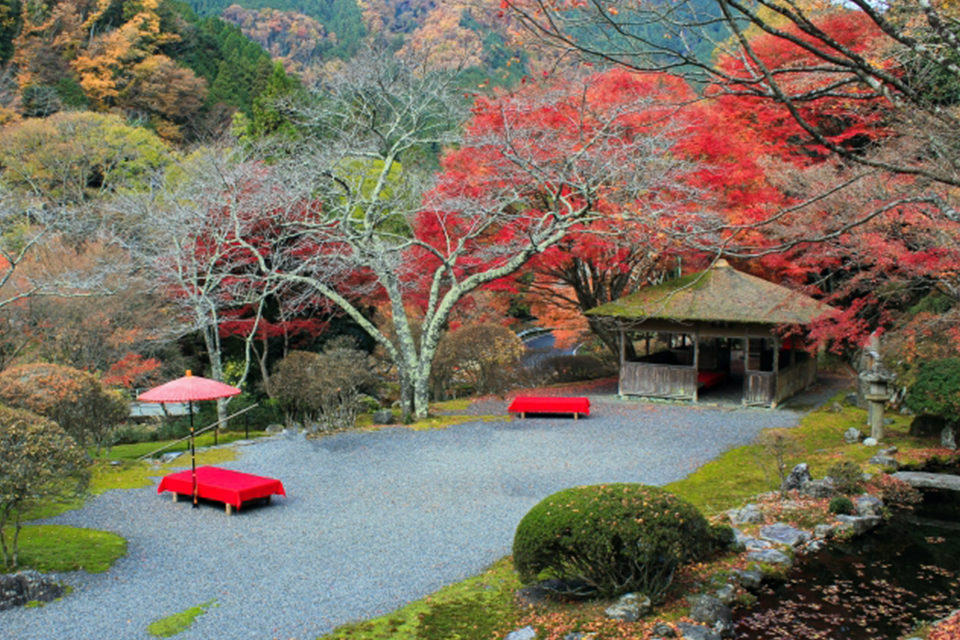 京都・白龍園は知る人ぞ知る紅葉の隠れた名所！1日限定100人の観覧枠に入るには？