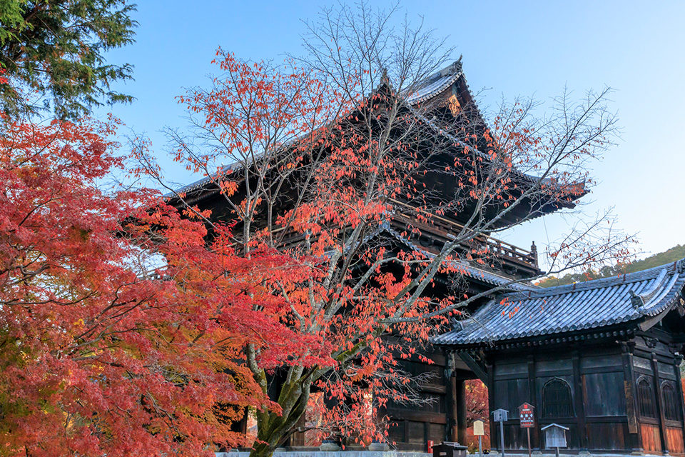 年の紅葉はここで決まり 京都の平安神宮は他の紅葉とはひと味違う Caedekyoto カエデ京都 紅葉と伝統美を引き継ぐバッグ