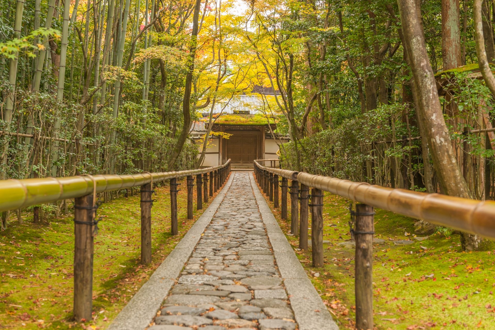 秋だけの特別拝観 年の京都の紅葉で 今までとは違う感動を Caedekyoto カエデ京都 紅葉と伝統美を引き継ぐバッグ