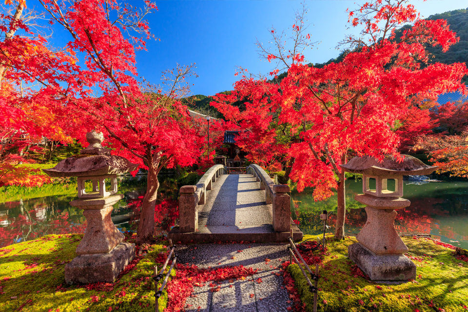 年の秋は永観堂 禅林寺 の紅葉を見に行きませんか 禅林寺の魅力をお伝えします Caedekyoto カエデ京都 紅葉 と伝統美を引き継ぐバッグ