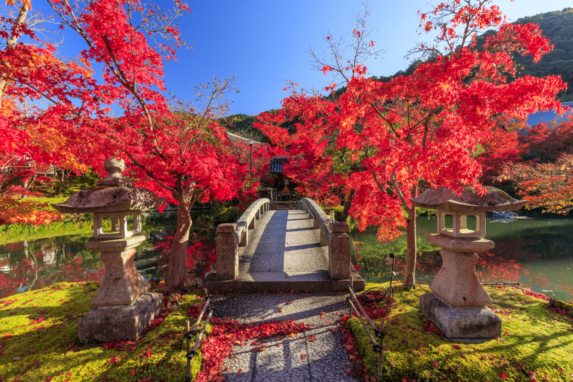 年の秋は永観堂 禅林寺 の紅葉を見に行きませんか 禅林寺の魅力をお伝えします Caedekyoto カエデ京都 紅葉と伝統美を引き継ぐバッグ