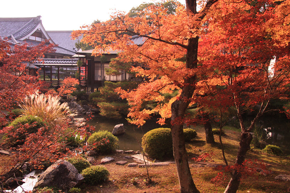 大覚寺の歴史や魅力に迫ってみませんか Caedekyoto カエデ京都 紅葉と伝統美を引き継ぐバッグ