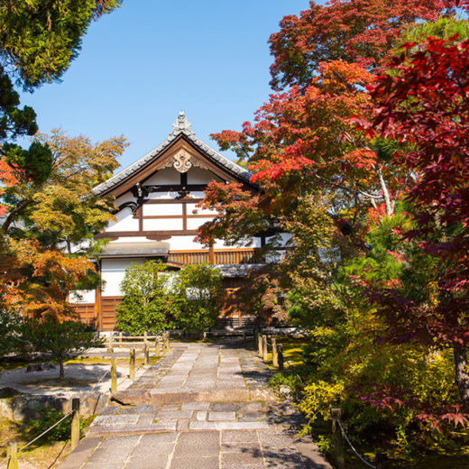 世界遺産にも登録されている京都天龍寺 紅葉の美しさもまた格別 見頃やおすすめポイントは Caedekyoto カエデ京都 紅葉と伝統美を引き継ぐバッグ