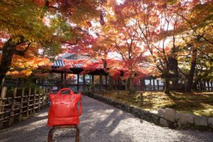 光明院