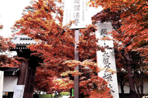 京都　永観堂　山門の紅葉