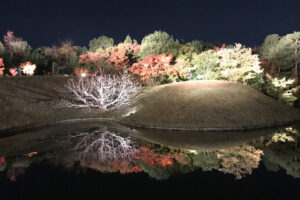 梅小路公園 京都　紅葉