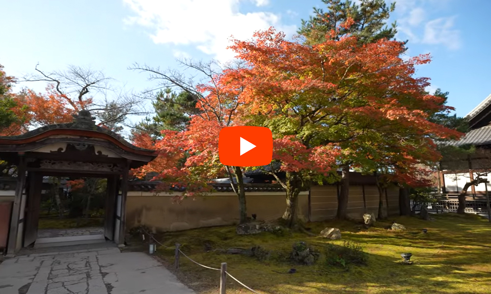 京都　高台寺　紅葉