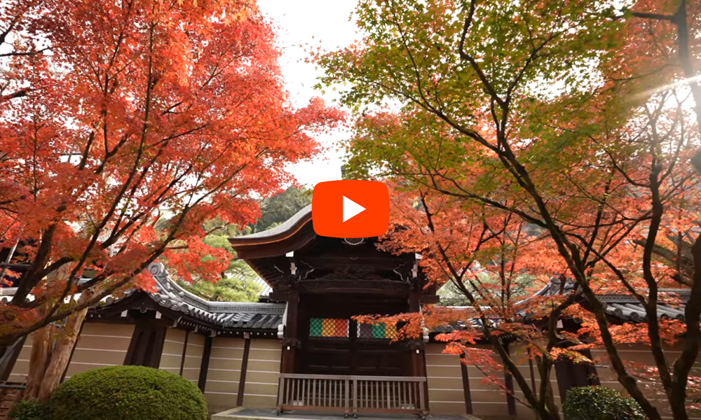 京都　永観堂　紅葉