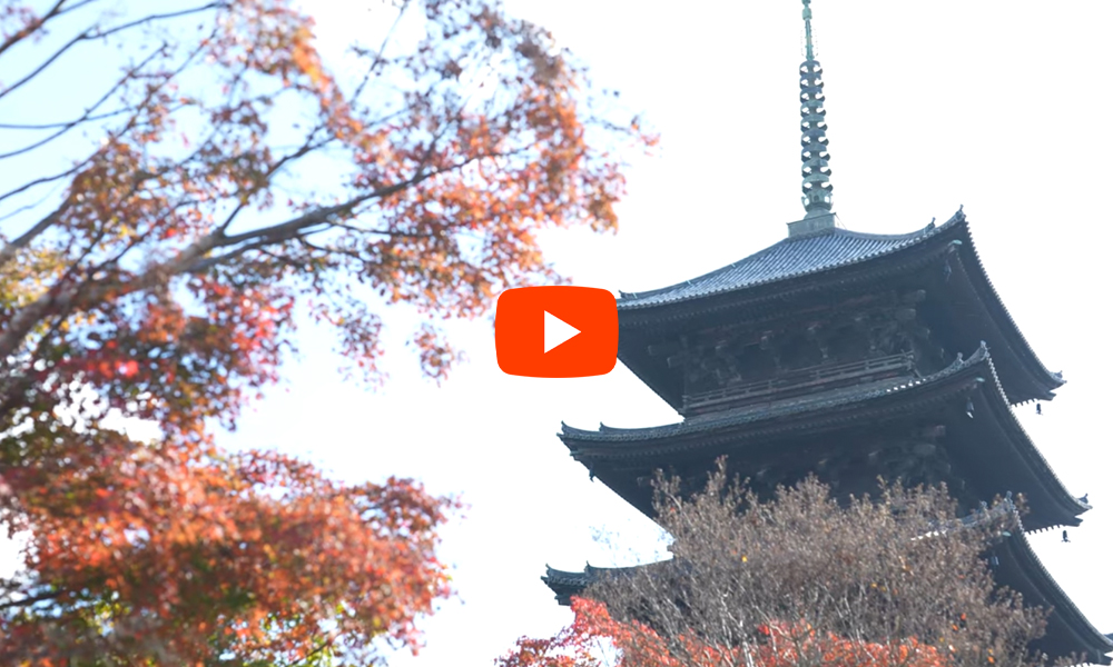 京都　東寺　紅葉