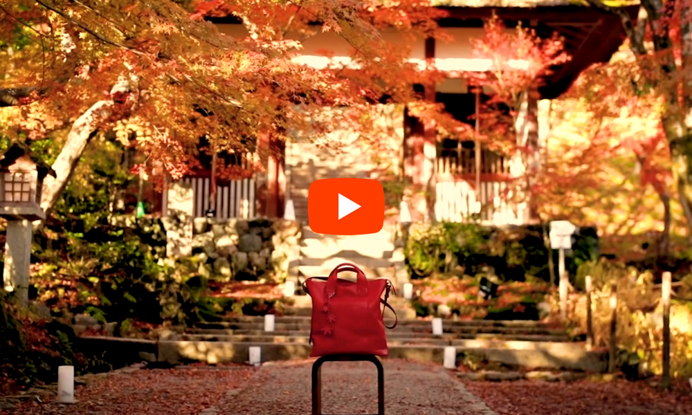 京都　常寂光寺　紅葉