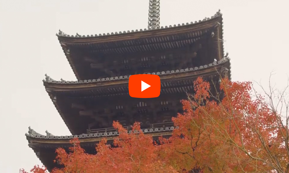 京都　仁和寺　紅葉