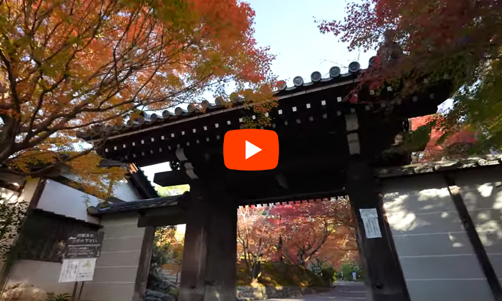 京都　龍安寺　紅葉