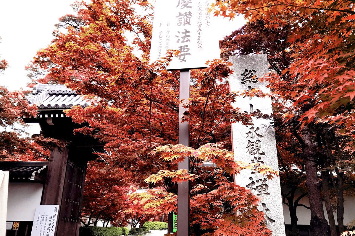 京都　永観堂　山門の紅葉