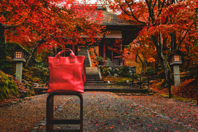 京都　紅葉　見ごろの時期