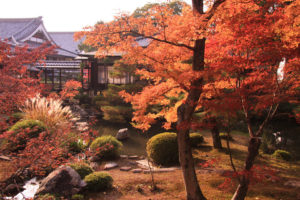 京都の紅葉 大覚寺