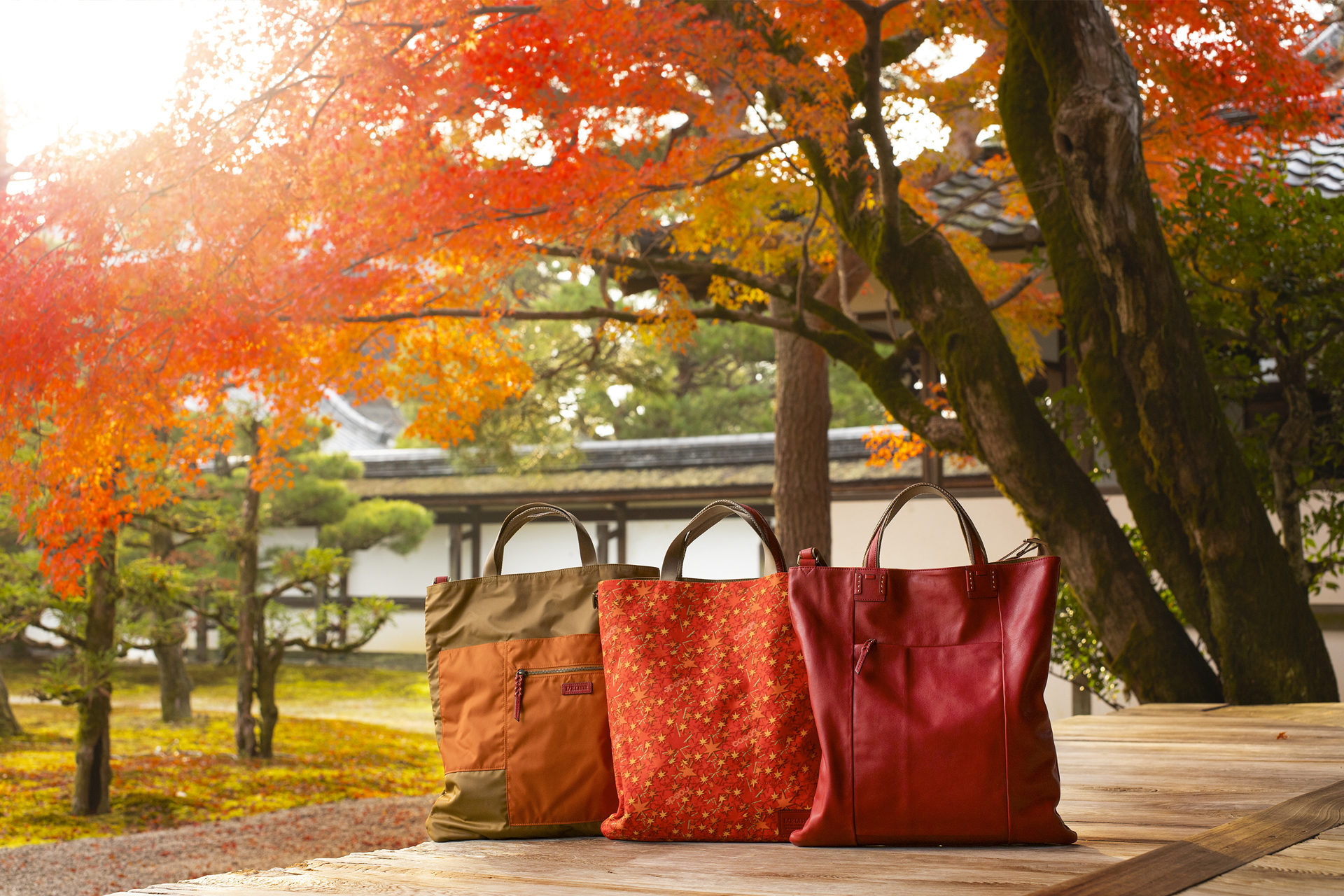 京都　仁和寺　紅葉彩る庭園