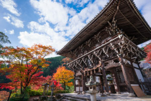 善峯寺 京都　紅葉
