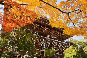 京都の善峯寺
