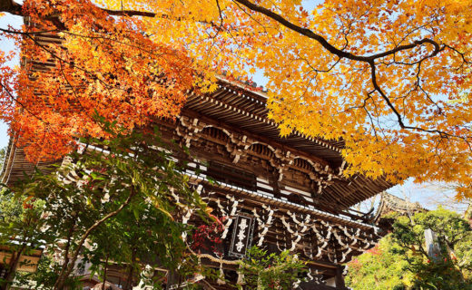 京都の善峯寺