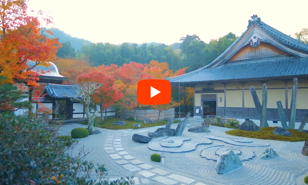 京都 圓光寺 紅葉の絶景(4K)カエデ・エリシア京都 caede|L’ELISIR KYOTO