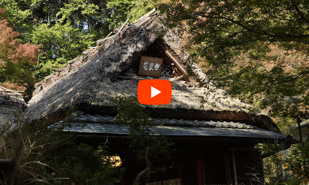 京都 宝厳院 紅葉(4K) カエデ・エリシア京都 caede|L’ELISIR KYOTO