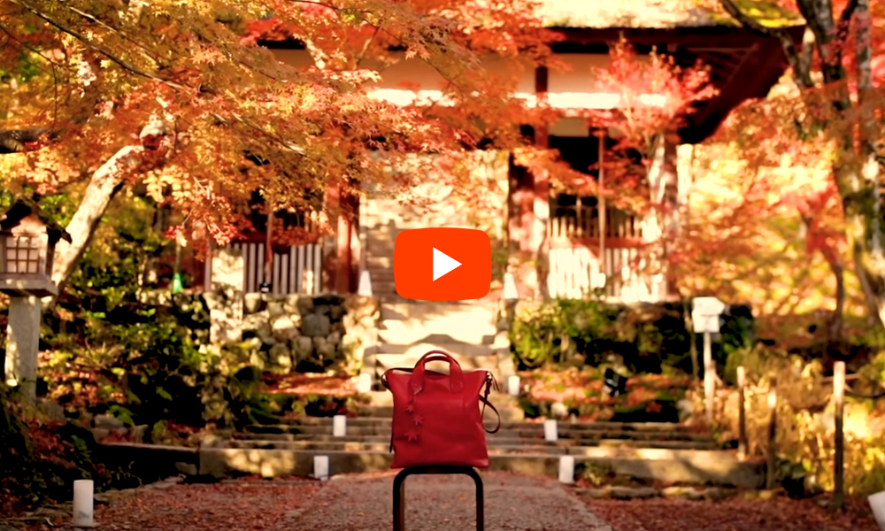 京都 常寂光寺 紅葉の絶景(4K)カエデ・エリシア京都 caede|L’ELISIR KYOTO