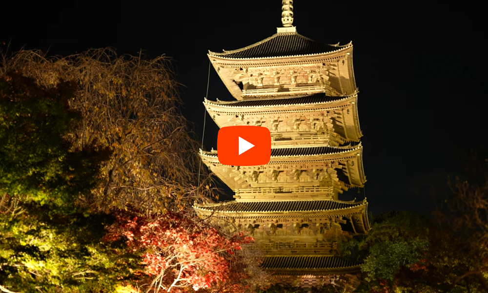 京都 東寺 紅葉 ライトアップ(4K) カエデ・エリシア京都 caede|L’ELISIR KYOTO