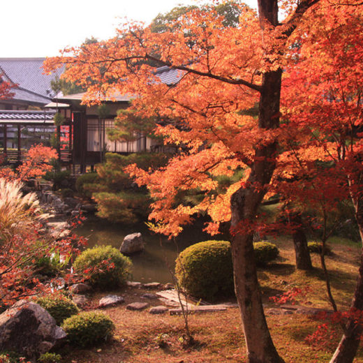 秋の大覚寺庭園