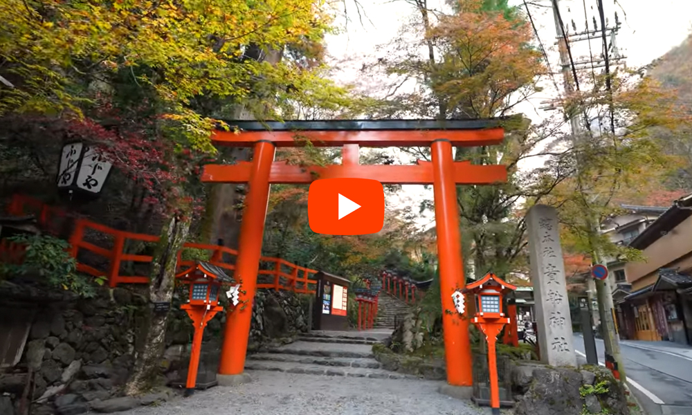 京都 貴船 紅葉(4K) カエデ・エリシア京都 caede|L’ELISIR KYOTO