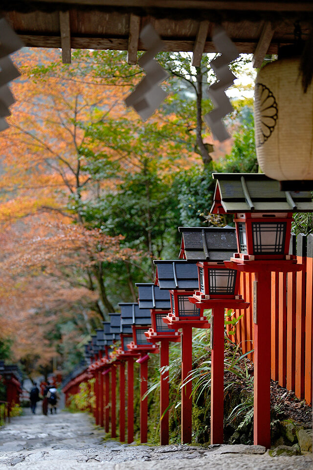 貴船神社　石階段　紅葉　京都　