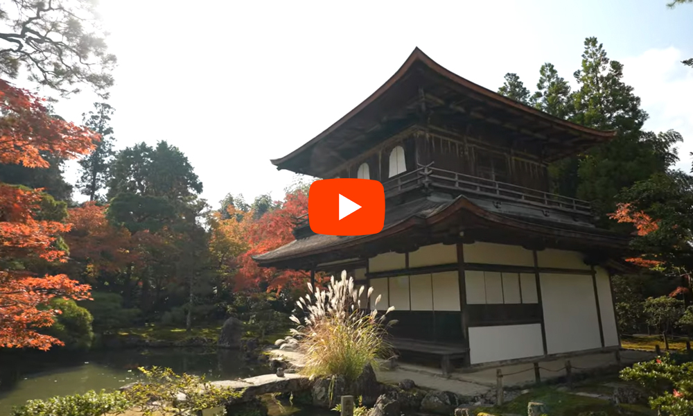 京都 銀閣寺 紅葉(4K) カエデ・エリシア京都 caede|L’ELISIR KYOTO