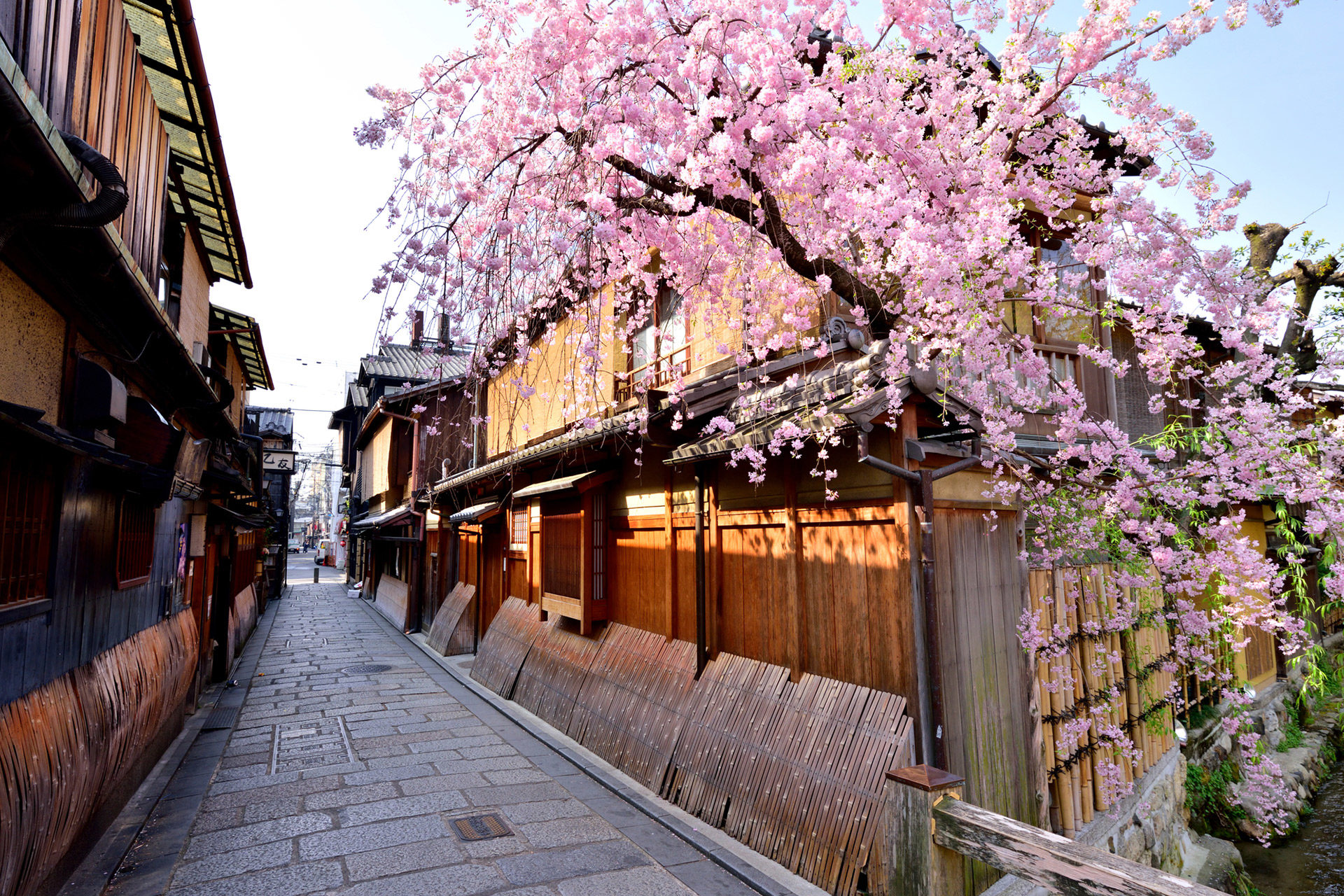 京都で過ごす春休み特集 子供から大人まで楽しめるスポットをご紹介 Caedekyoto カエデ京都 紅葉と伝統美を引き継ぐバッグ