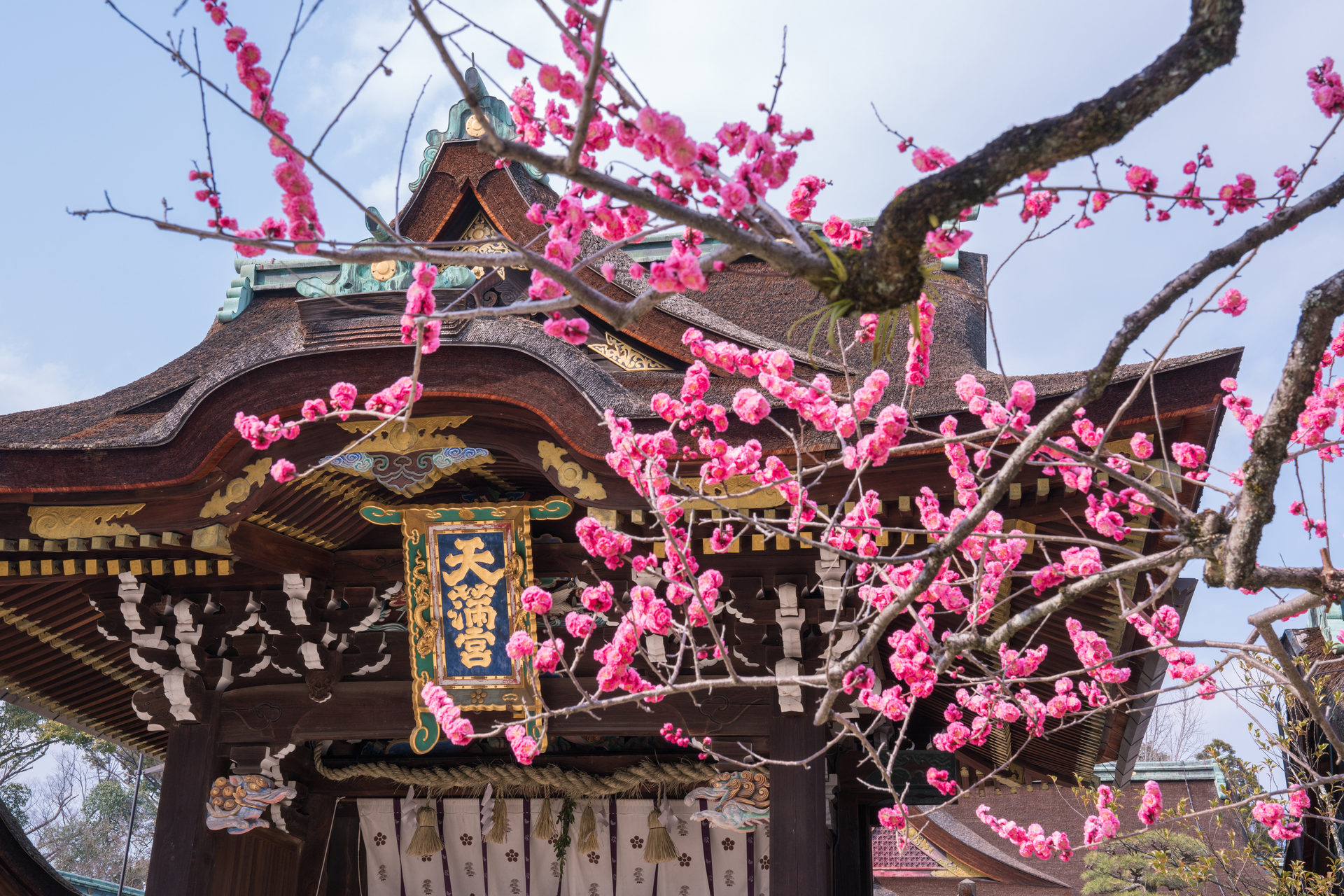 冬の京都でおすすめのスポット グルメをご紹介します Caedekyoto カエデ京都 紅葉と伝統美を引き継ぐバッグ