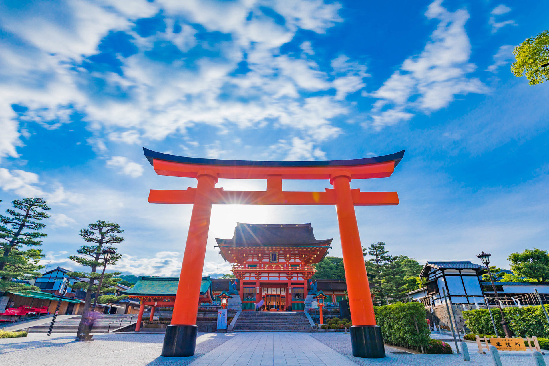 京都で冬のデートにぴったりのおすすめスポットをご紹介します Caedekyoto カエデ京都 紅葉と伝統美を引き継ぐバッグ