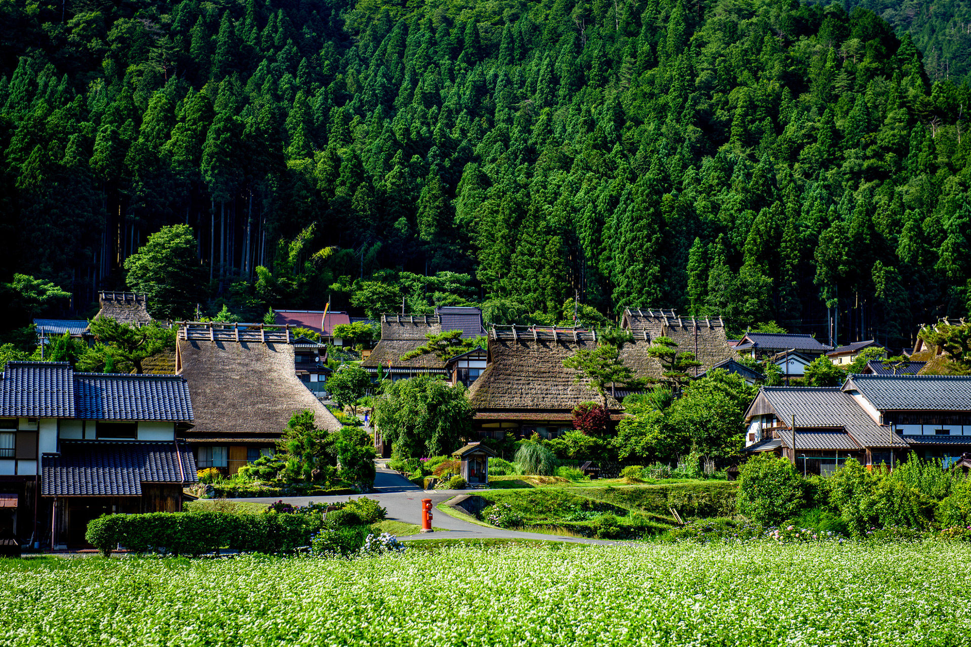 夏休みは京都で充実した１日を過ごしませんか ぜひおすすめしたい夏休み観光スポット Caedekyoto カエデ京都 紅葉と伝統美を引き継ぐバッグ