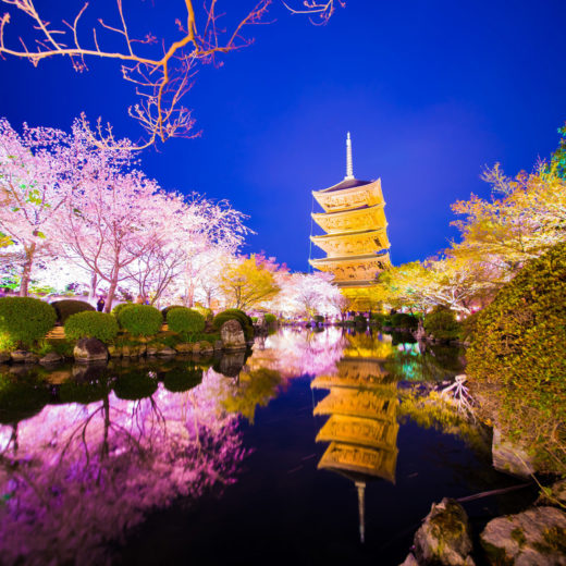 京都の桜を思う存分堪能したい方におすすめのコースは Caedekyoto カエデ京都 紅葉と伝統美を引き継ぐバッグ