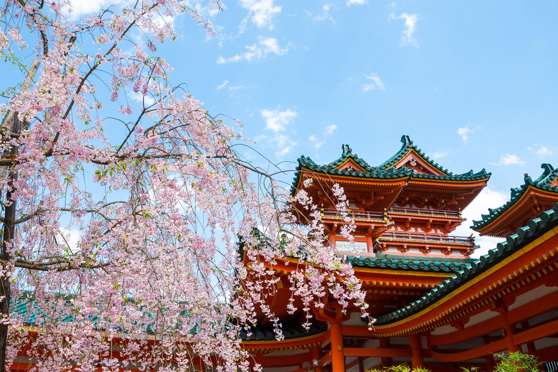 春の京都は魅力満載 京都でとっておきの春を見つけてませんか Caedekyoto カエデ京都 紅葉と伝統美を引き継ぐバッグ